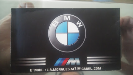 Asesoria Mantencion Escaner BMW