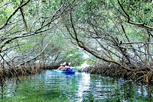 Island Kayak Adventures image