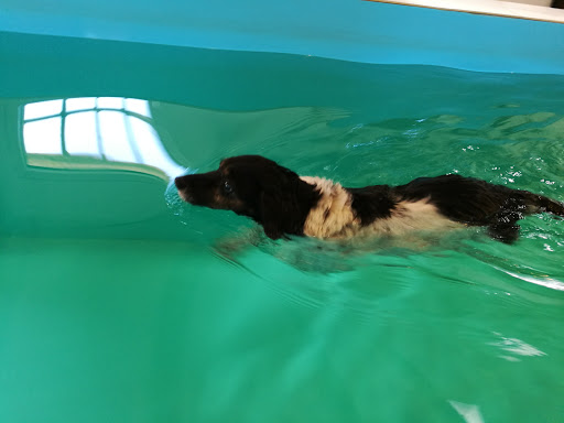 Vetnatura ApS in Sønderborg, Sønderborg