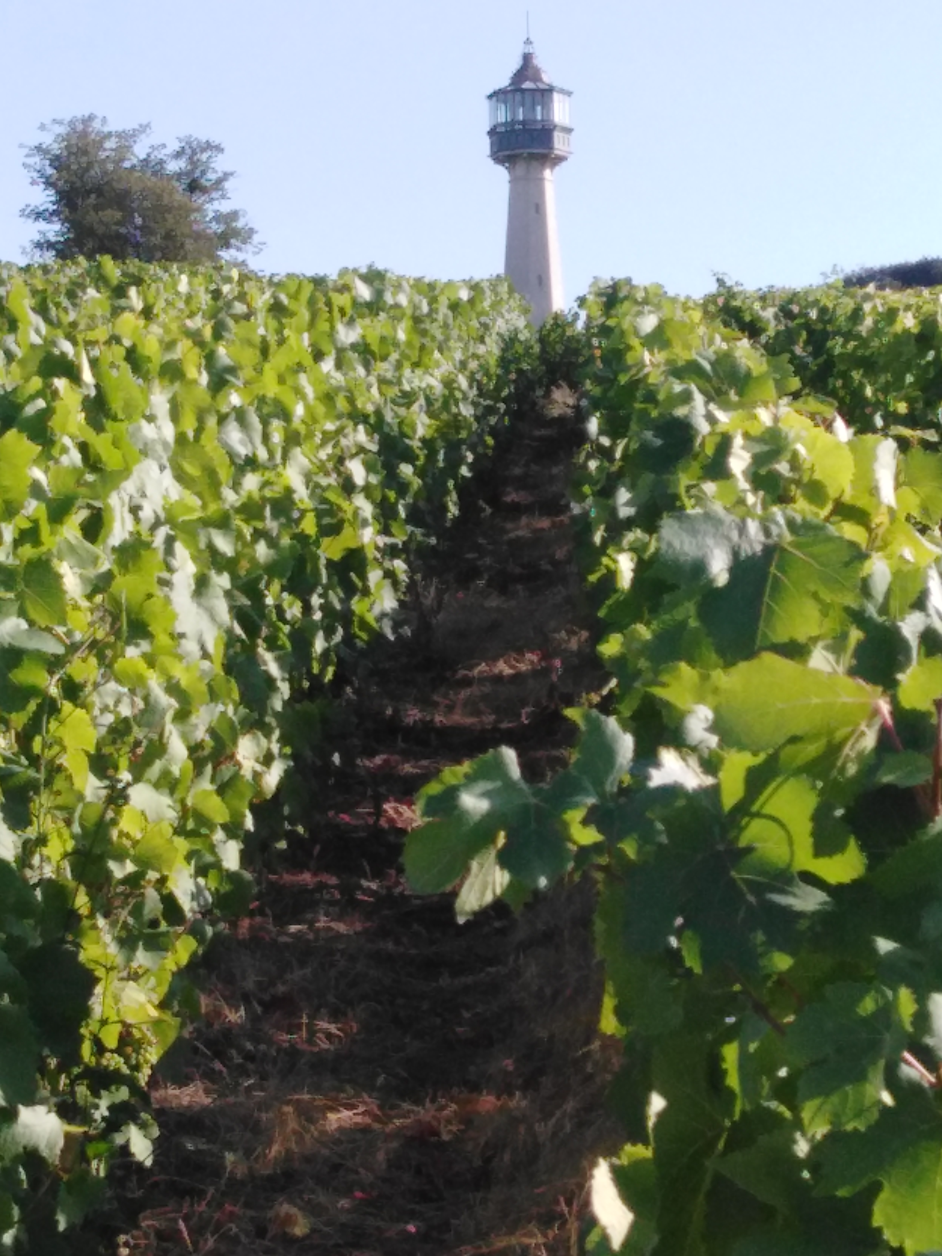 Photo n° 3 de l'avis de Eddy. fait le 04/10/2019 à 10:40