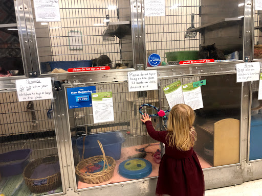 Pet Supply Store «PetSmart», reviews and photos, 3585 N Shiloh Dr, Fayetteville, AR 72703, USA