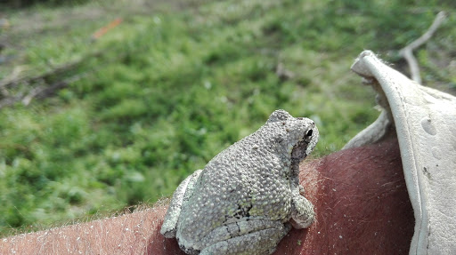 Natural Foods Store «Harvest Time Natural Foods», reviews and photos, 3794 S Main St, Lobelville, TN 37097, USA