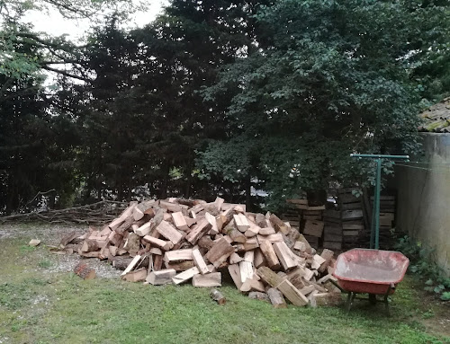 GIROU BOIS à Montjoire