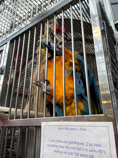 Garden Center «Bucks Country Gardens», reviews and photos, 1057 N Easton Rd, Doylestown, PA 18902, USA