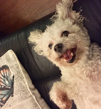 Leah's Premier Pet Care - Photo 5 - Car repair in , Charlotte