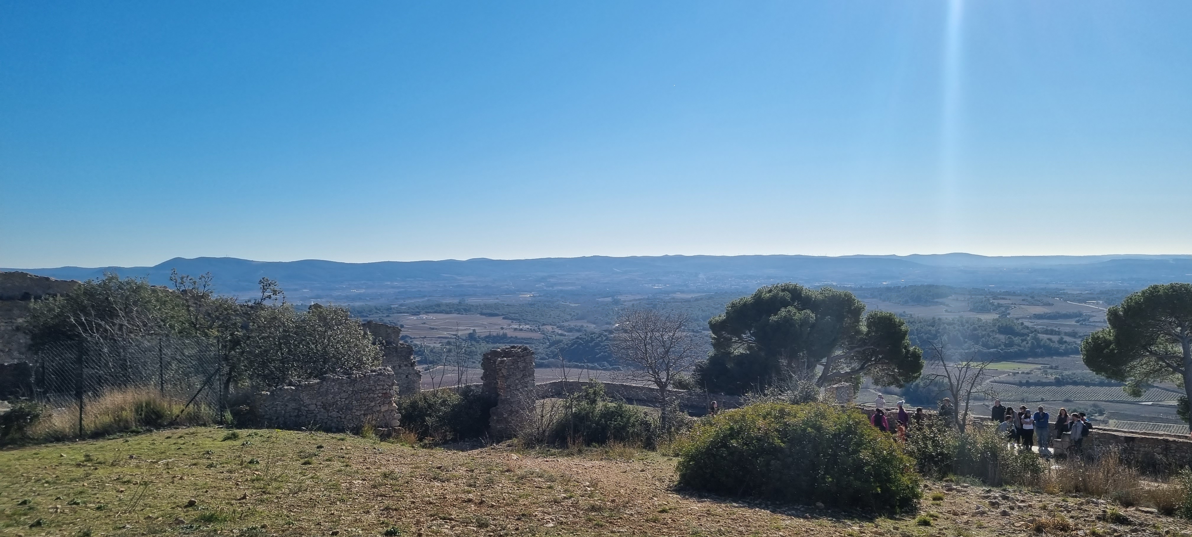 Photo n° 12 de l'avis de Thirion.e fait le 23/01/2022 à 13:02