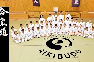 Clubul Sportiv Aikibudo image
