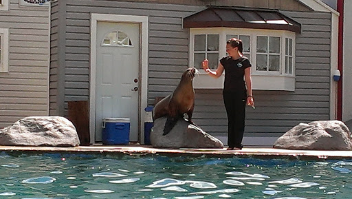 Zoo «Oceans of Fun», reviews and photos, 10001 W Bluemound Rd, Milwaukee, WI 53226, USA