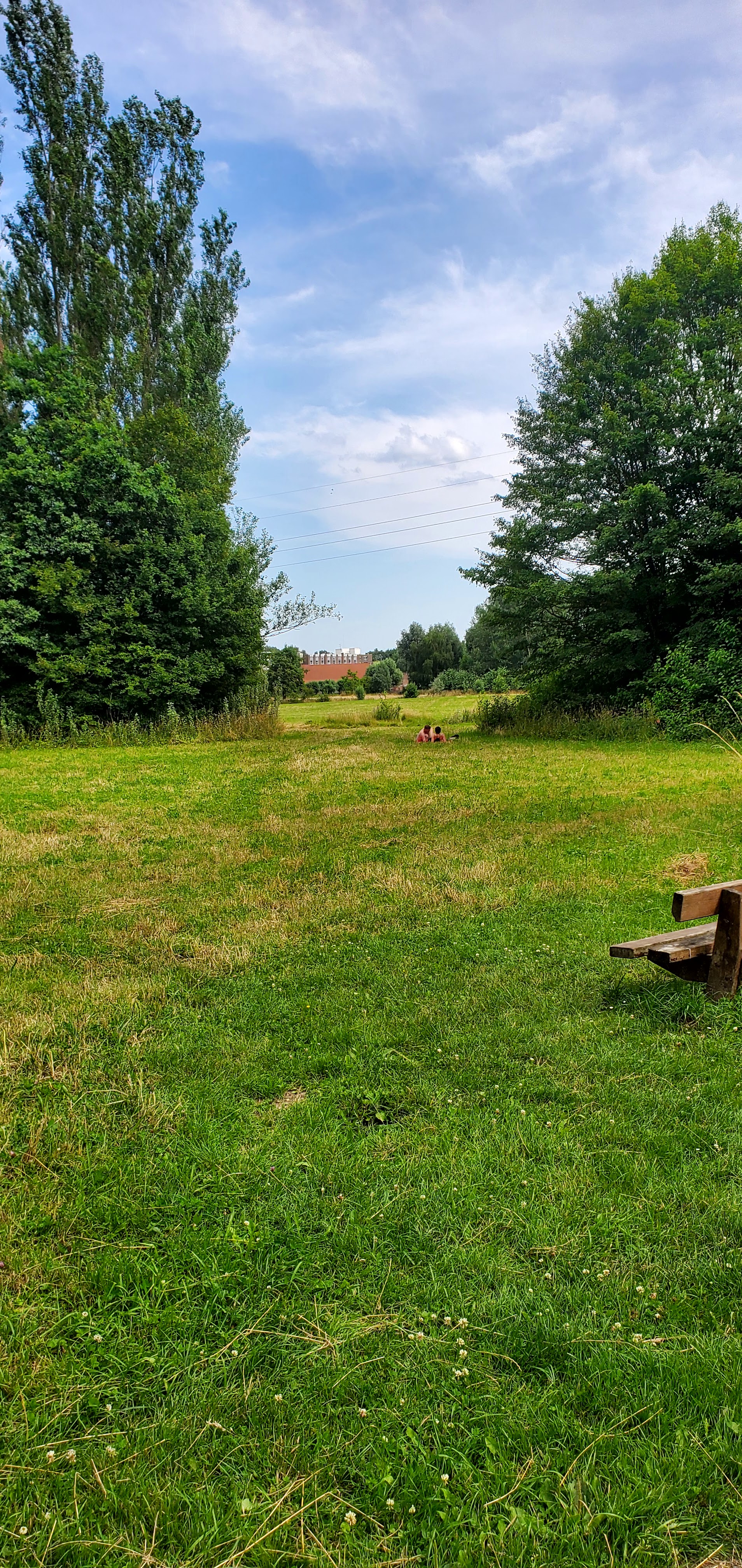 Photo n° 1 de l'avis de Sylvain.u fait le 23/07/2023 à 08:24