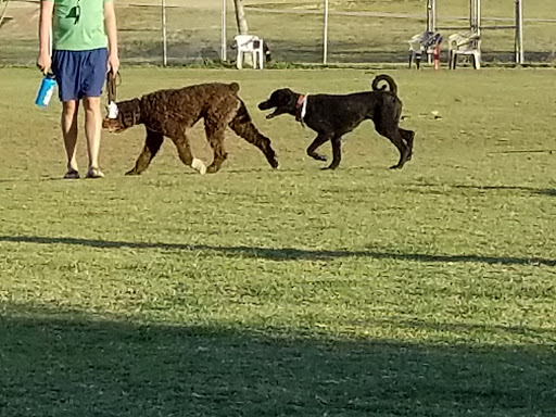 Park «Grover Basin Dog Park», reviews and photos, 17445 N 20th St, Phoenix, AZ 85022, USA