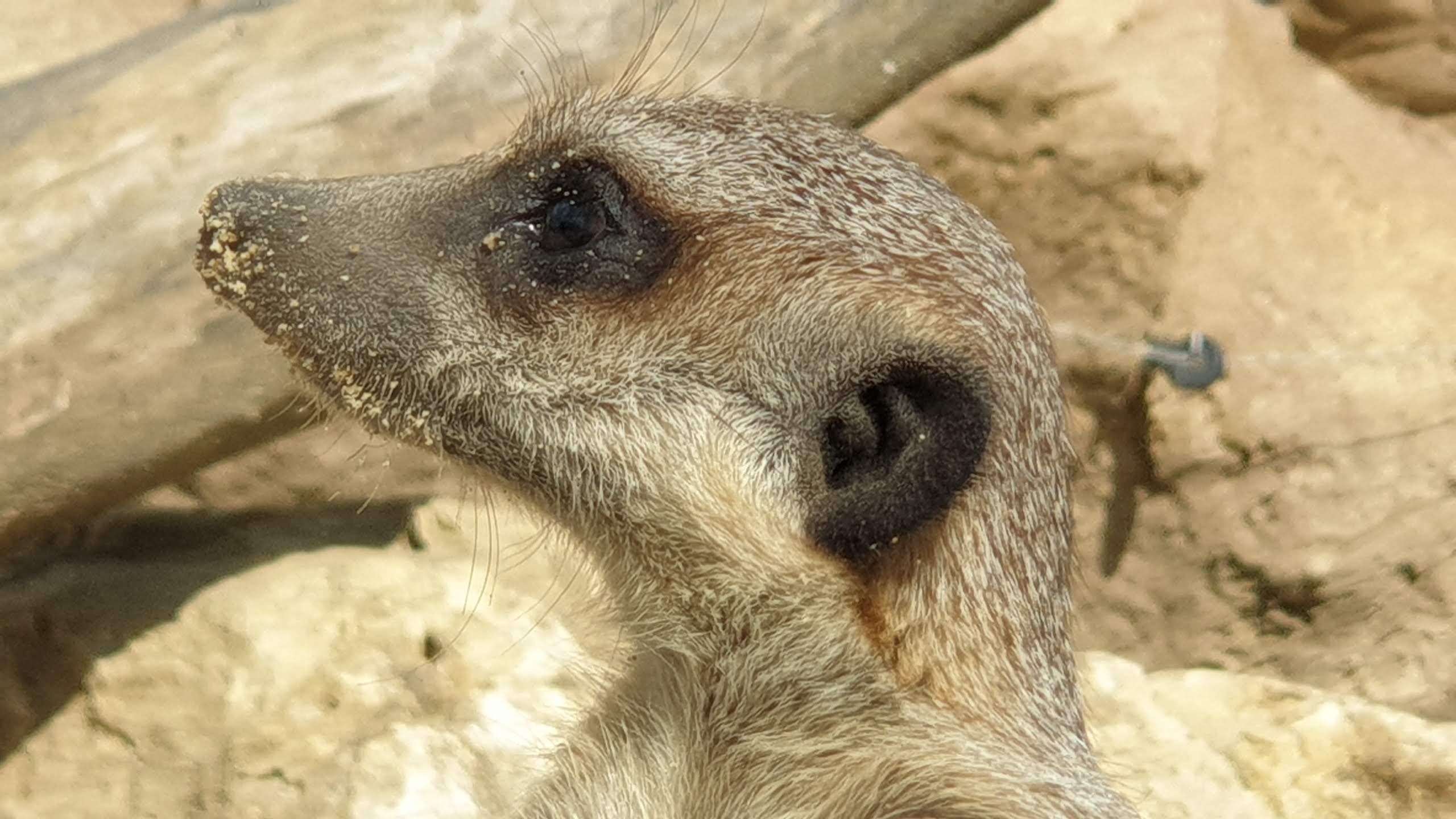 Photo n° 11 de l'avis de Simon.a fait le 05/04/2019 à 11:35