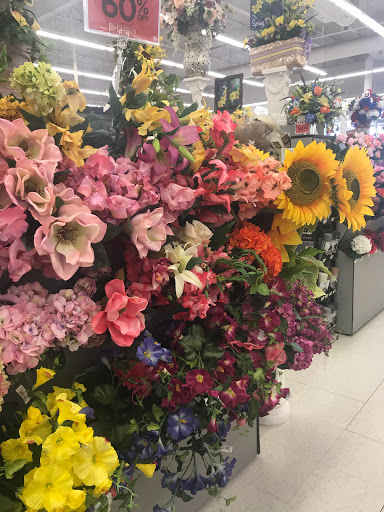 Craft Store «A.C. Moore Arts and Crafts», reviews and photos, 1101 Woodland Rd, Wyomissing, PA 19610, USA