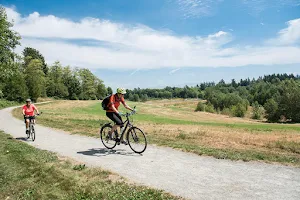 Aldergrove Regional Park image