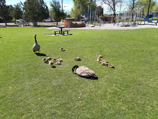 Nature Preserve «Virginia Lake», reviews and photos, 1980 Lakeside Dr, Reno, NV 89509, USA