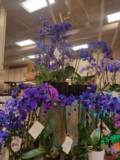 Grocery Store «Fred Meyer», reviews and photos, 11425 SW Beaverton Hillsdale Hwy, Beaverton, OR 97005, USA