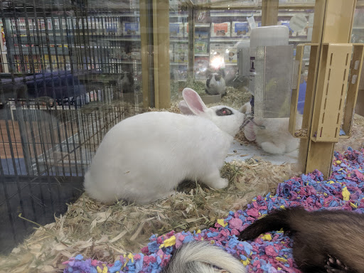 Pet Supply Store «Pet Supermarket», reviews and photos, 501 Cypress Gardens Blvd, Winter Haven, FL 33880, USA