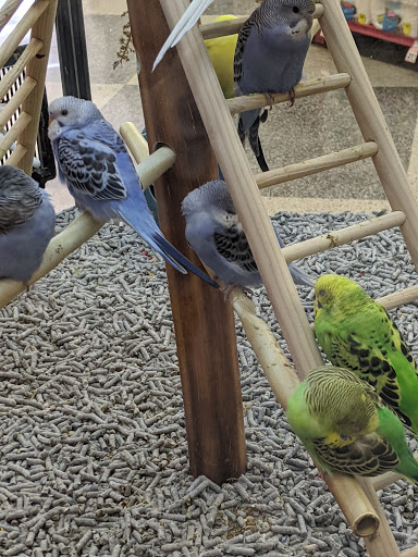 Pet Supply Store «Petco Animal Supplies», reviews and photos, 1401 E Spring Valley Rd, Richardson, TX 75081, USA