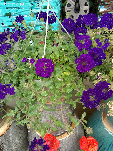 Hardware Store «Westlake Ace Hardware 109», reviews and photos, 550 US-175 Frontage Rd #108, Seagoville, TX 75159, USA