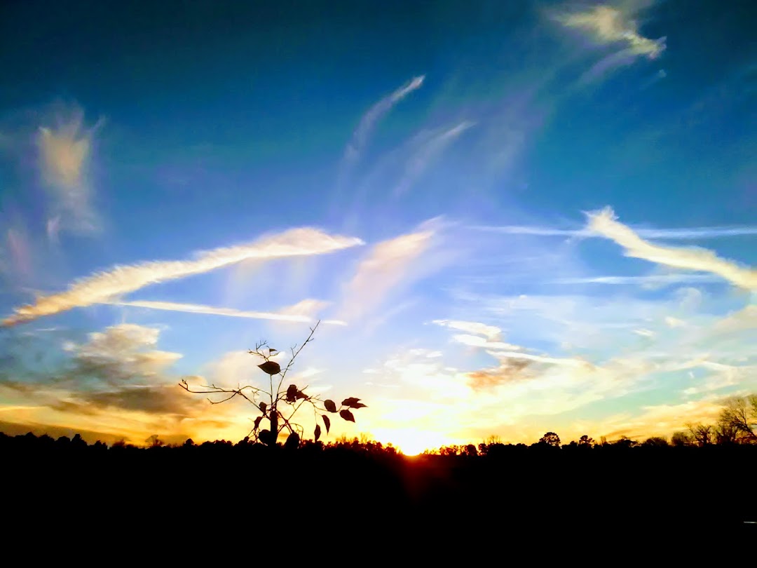 Plantation Mobile Home Park