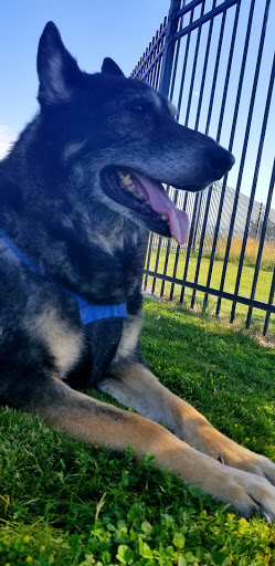 Amphitheater «USANA Amphitheatre», reviews and photos, 5150 S 6055 W, West Valley City, UT 84118, USA