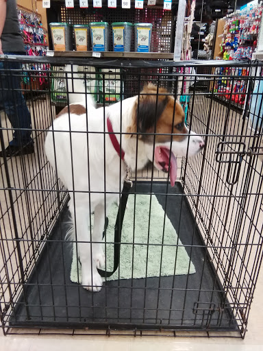 Pet Supply Store «Petco Animal Supplies», reviews and photos, 891 NE D St, Grants Pass, OR 97526, USA