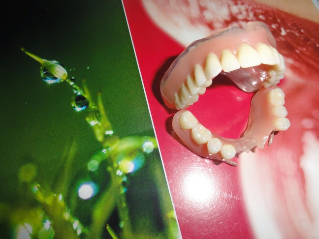 Opinii despre C. M. I Dr. Costanzo Iuliana în <nil> - Dentist