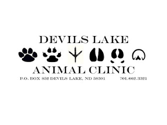 Devils Lake Animal Clinic PLLC