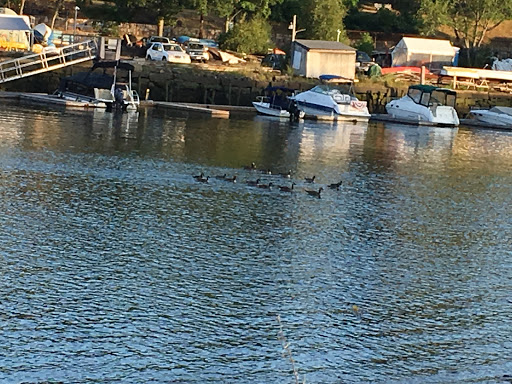 Water Park «Petersen Splash Pad at Watson Park», reviews and photos, Gordon Rd, Braintree, MA 02184, USA
