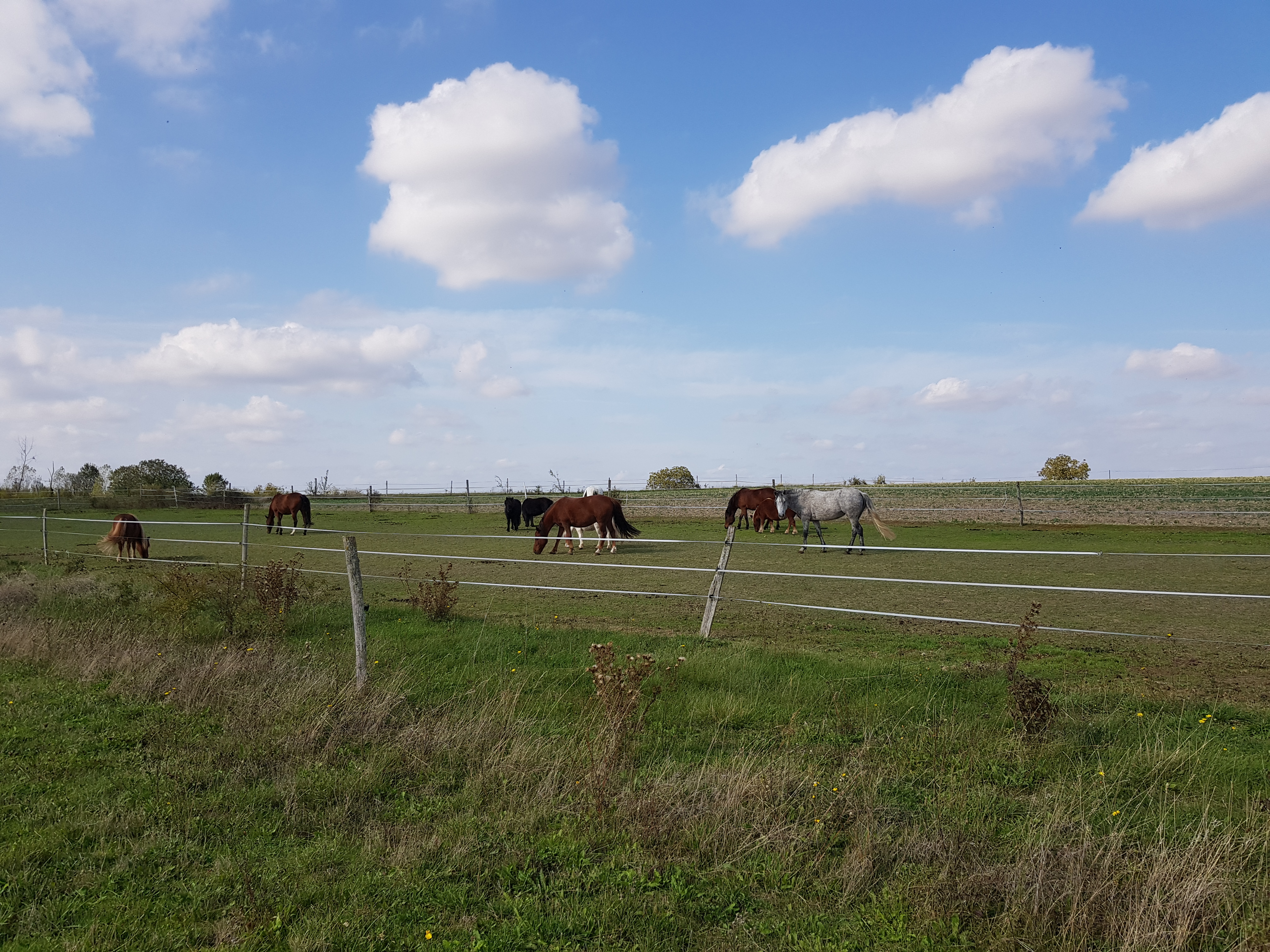 Photo n° 2 de l'avis de robin.j fait le 13/10/2019 à 12:15