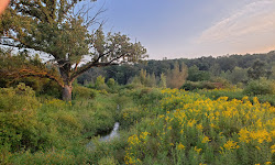 Donald County Park