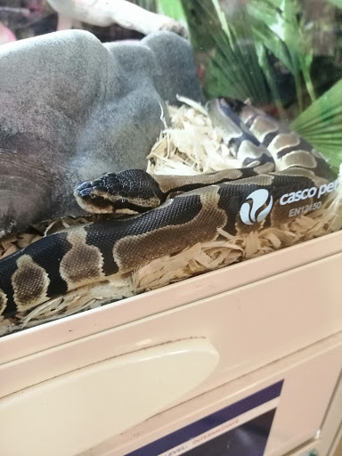 Pet Supply Store «PetSmart», reviews and photos, 2641 Lawndale Dr, Greensboro, NC 27408, USA