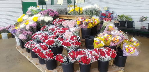 Produce Market «Produce Junction Inc», reviews and photos, 265 S Easton Rd, Glenside, PA 19038, USA