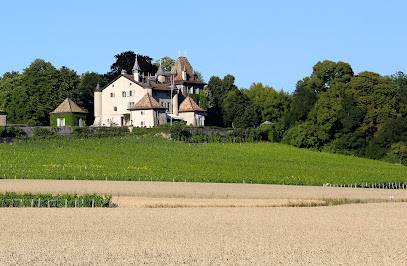Domaine Château du Crest, J. Meyer & Cie