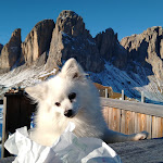 Photo n°2 de l'avis de G.C fait le 21/11/2021 à 10:16 sur le  Rifugio Col Rodella à Campitello di Fassa