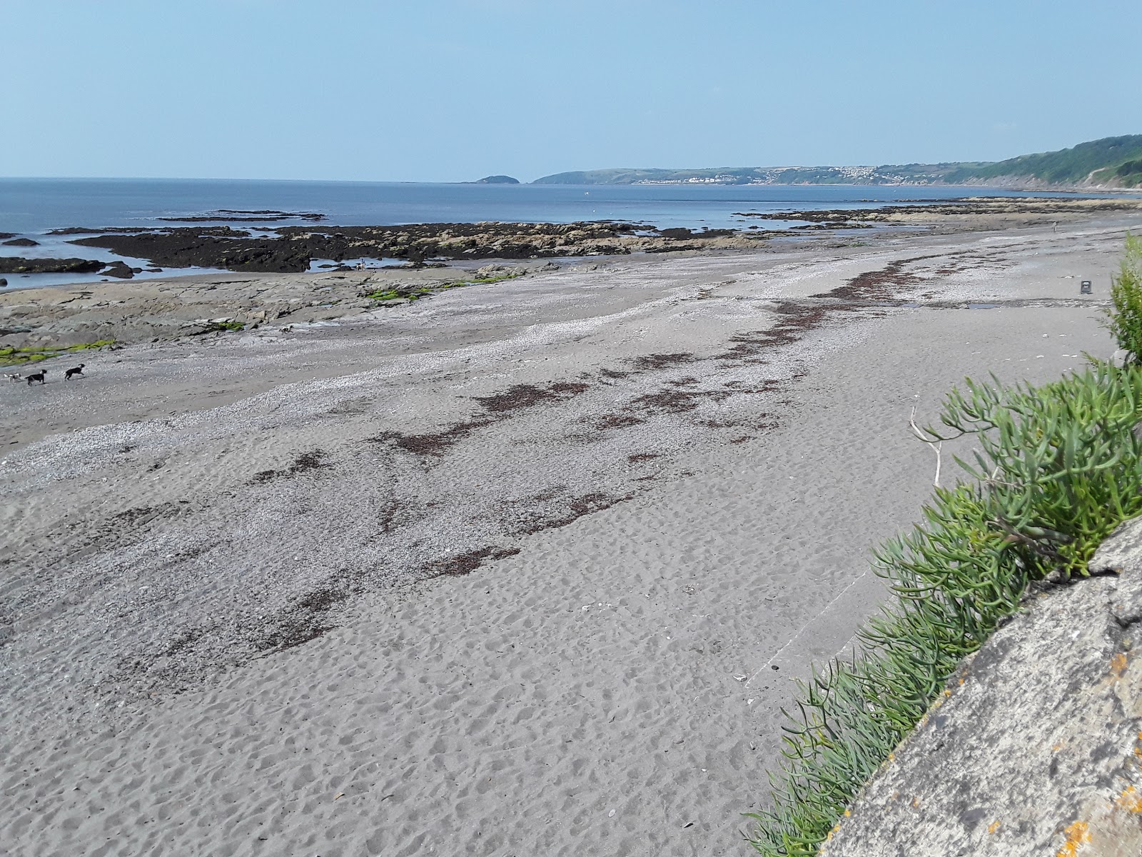 Foto av Downderry strand omgiven av berg