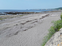 Foto von Downderry Strand umgeben von Bergen