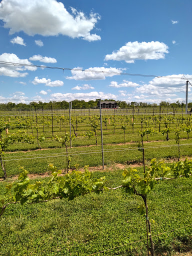 Vineyard «Old House Vineyards», reviews and photos, 18351 Corkys Ln, Culpeper, VA 22701, USA