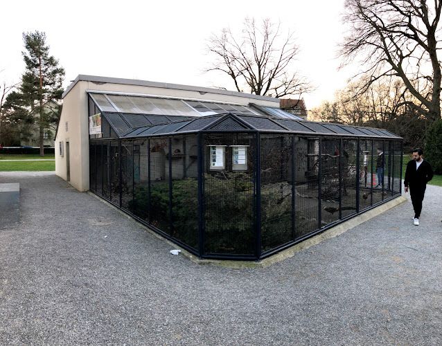Rezensionen über Volière im Lindengutpark in Winterthur - Andere