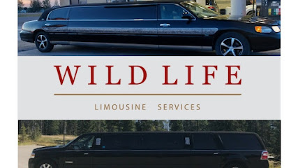 Wildlife limousine service