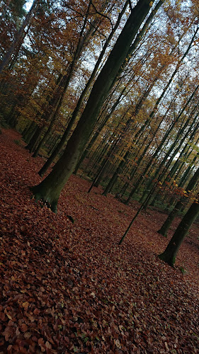 hallerbos.be