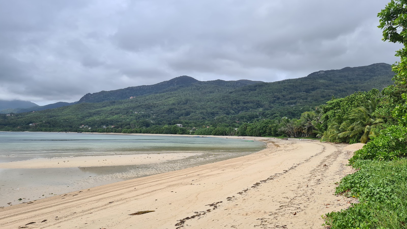 Anse Boileau Beach的照片 带有碧绿色纯水表面