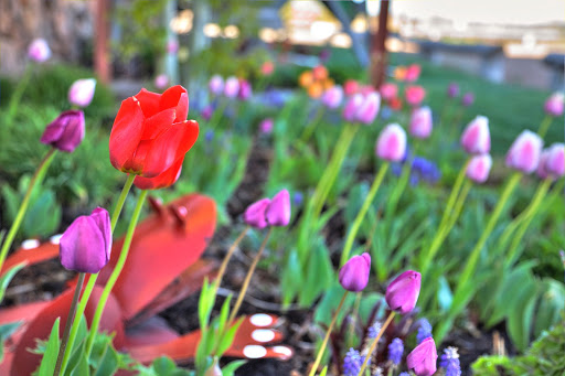 Event Venue «DeJoria Center», reviews and photos, 970 UT-32, Kamas, UT 84036, USA