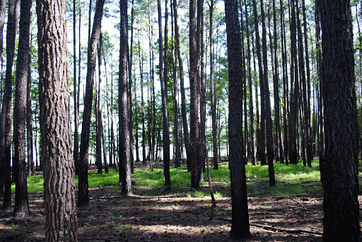 Rolling View State Recreation Area & Campground