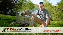 TriState Wildlife - Photo 2 - Car repair in Harrison, NY, Yonkers