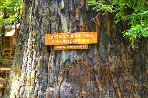 Clothing Store «Sonoma Outfitters», reviews and photos, 2412 Magowan Dr, Santa Rosa, CA 95405, USA