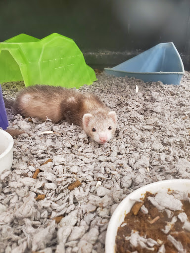 Pet Supply Store «Petco Animal Supplies», reviews and photos, 3401 Pineville-Matthews Rd, Charlotte, NC 28226, USA