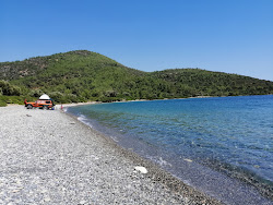 Kissebuku Bay'in fotoğrafı geniş ile birlikte