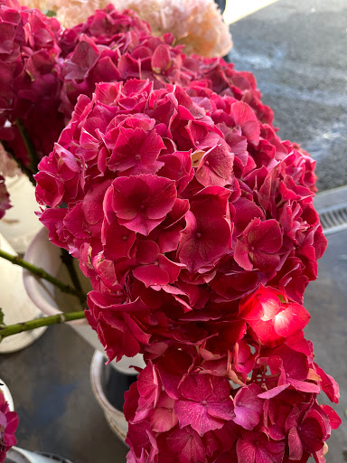 Florist «Ever Bloom Fresh Flowers», reviews and photos, 508 University Ave, San Diego, CA 92103, USA