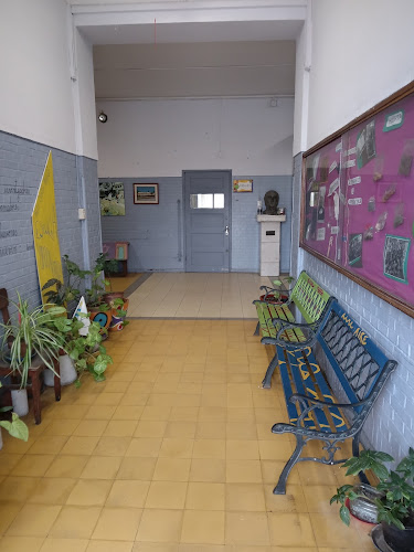 Escuela Pública N° 63 - Luis Cincinato Bollo - Paso Carrasco