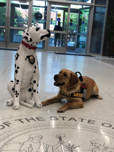 Insurance Agency «Carmen Ritz - State Farm Insurance Agent», reviews and photos